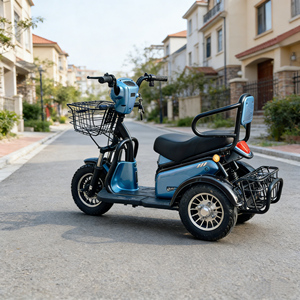 Holladay Factory Direct 500W Electric Tricycle 48V 20Ah 2 Person Mobility Scooter