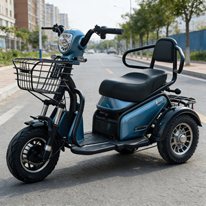 Holladay Electric Tricycle 500W 3 Wheel Electric Scooter 12-Tube Controller 2 Seater Mobility Ebike 40km Range for Adult Elderly