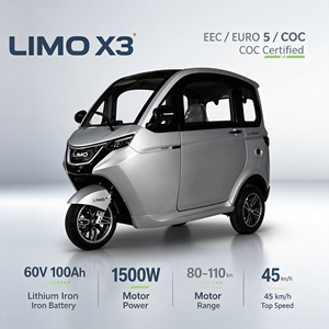 Europe Hot Sale EEC COC Electric Tricycles Passenger Car Closed Cabin Scooter